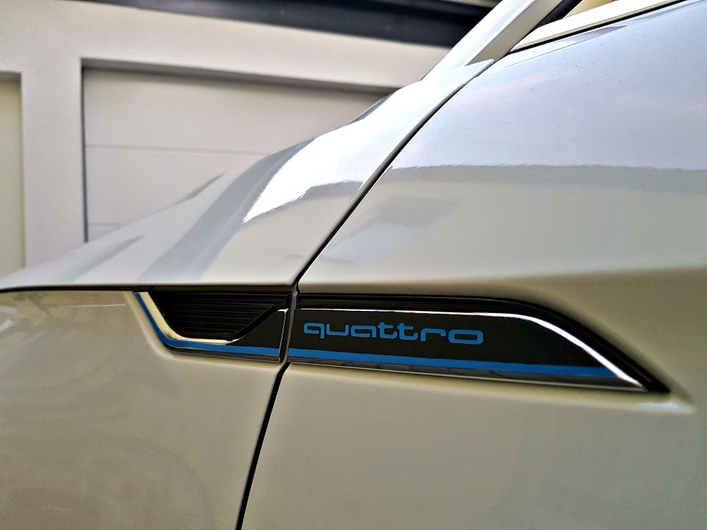 Dekor Kotflügel Blau mit Logo / Carbon