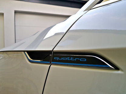 Dekor Kotflügel Blau mit Logo / Carbon