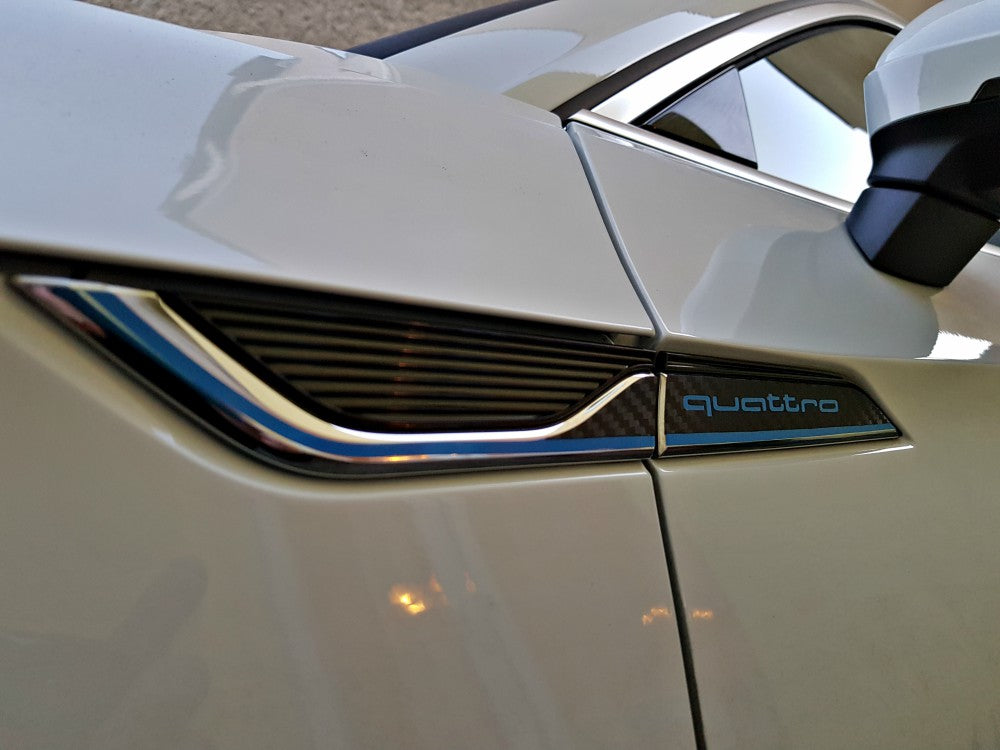 Dekor Kotflügel Blau mit Logo / Carbon